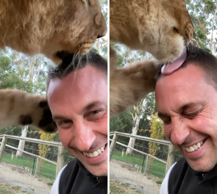 Australian Zookeeper Shares The Behind-The-Scenes Of Running A Wildlife Park (21 Pics)