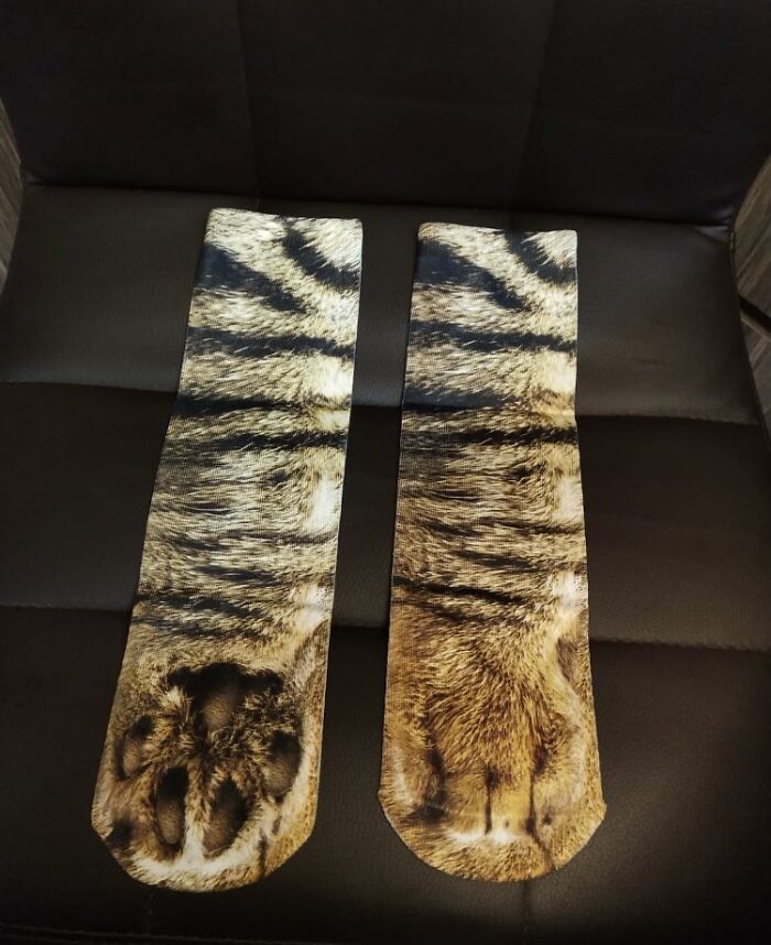 Un padre compra unos calcetines que parecen patas de gato y su hija comparte la divertida reacción del gato que se vuelve viral