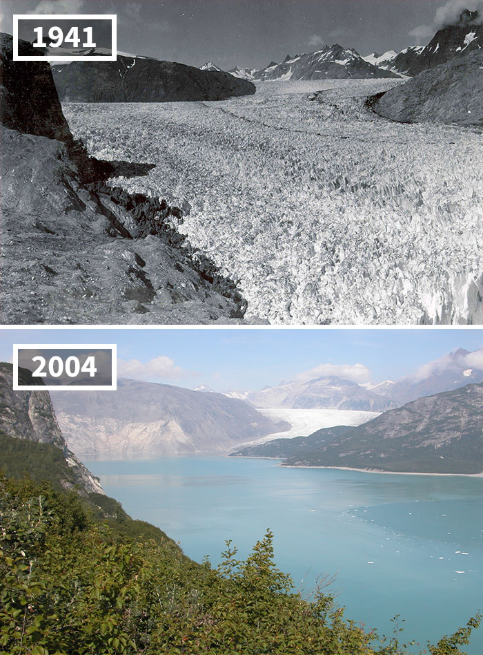 Derretimiento Del Glaciar Muir, Alaska