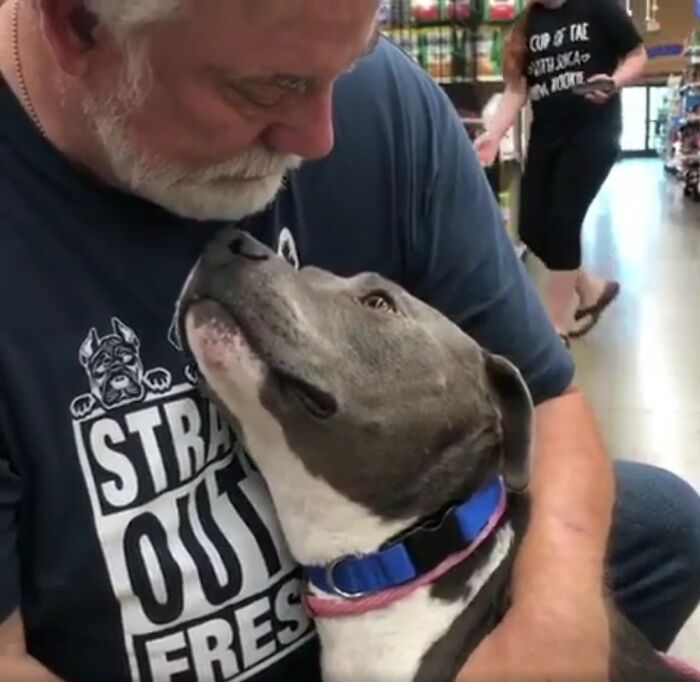The Look Of This Cute Pittie After Being Rescued