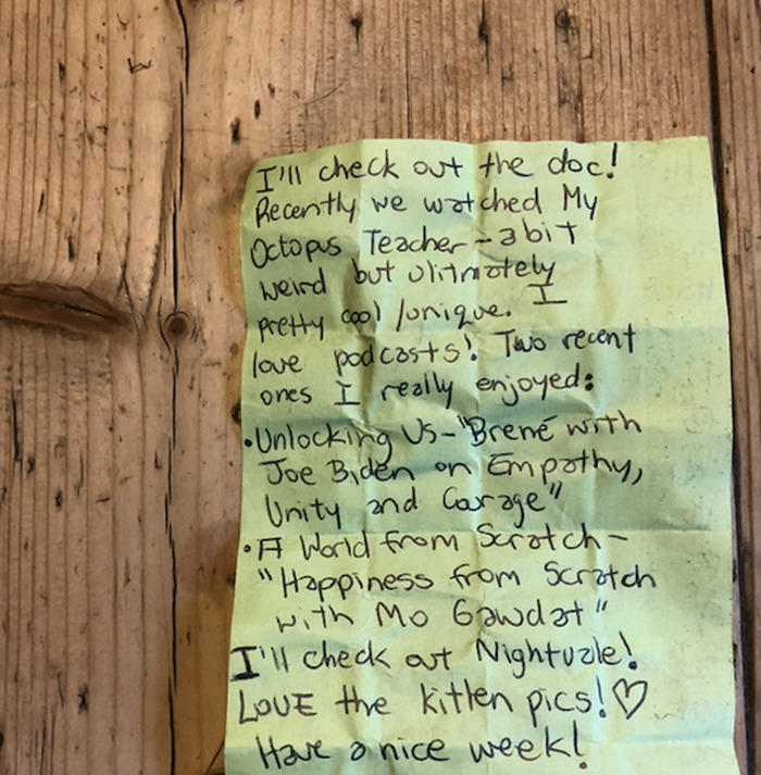 Cat Brings Its Parents A Note From The Neighbors He Visits, They Become Pen Pals With The Cat As Their Postman