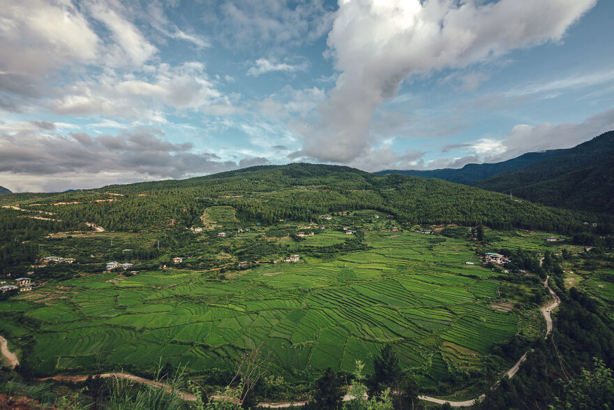 In Bhutan, A Lot Of Rice Is Grown In Terraced Rice Fields In The Mountains.