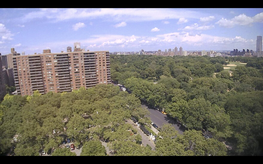 Year Long Time-Lapse Of Central Park Year Long Time-Lapse Of Central Park