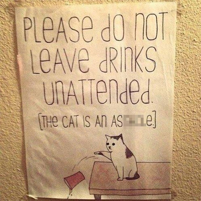 34 Times Cats Acted So Audacious That Their Owners Put Up A Sign To Warn Others About Their Ways