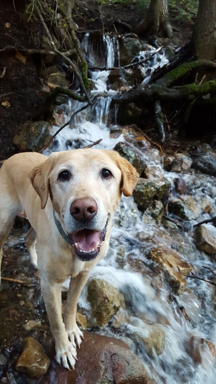 Pure Happiness On Our Hikes