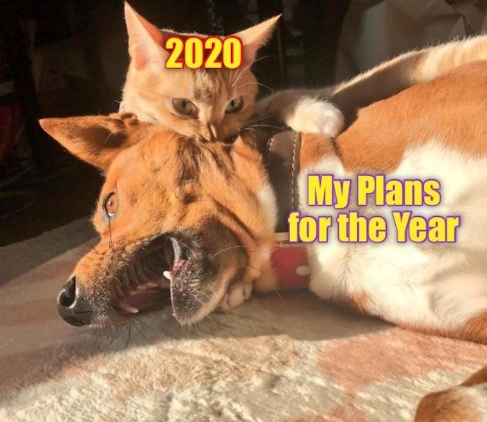 Oh, 2020!
