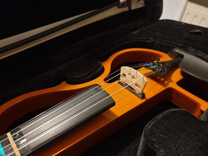 Electric Violin. Played Violin As A Kid 35 Years Ago And Always Wanted One 'As Vanessa Mae'...
