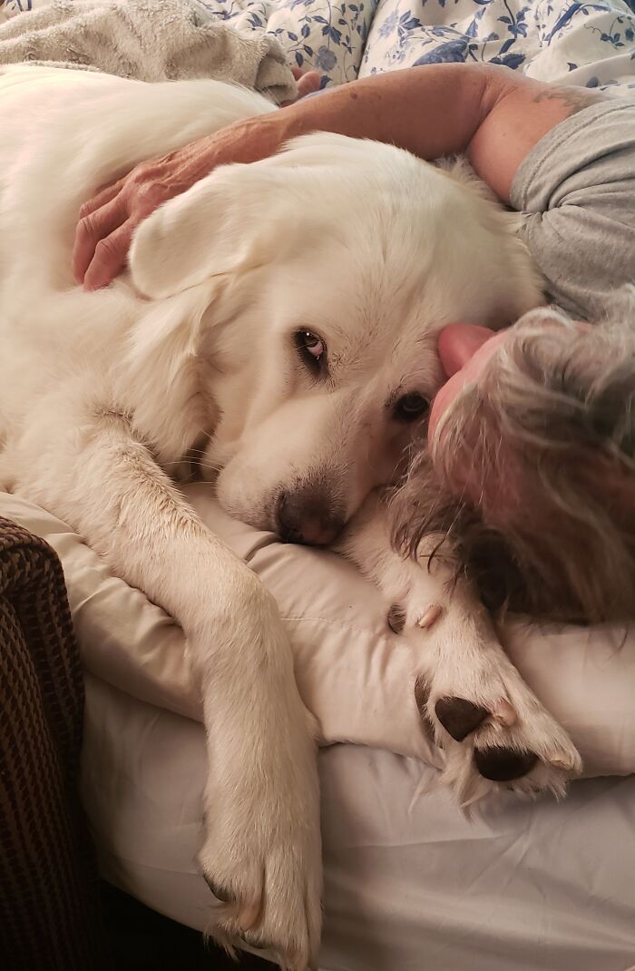 A Morning Cuddle Starts Our Day!