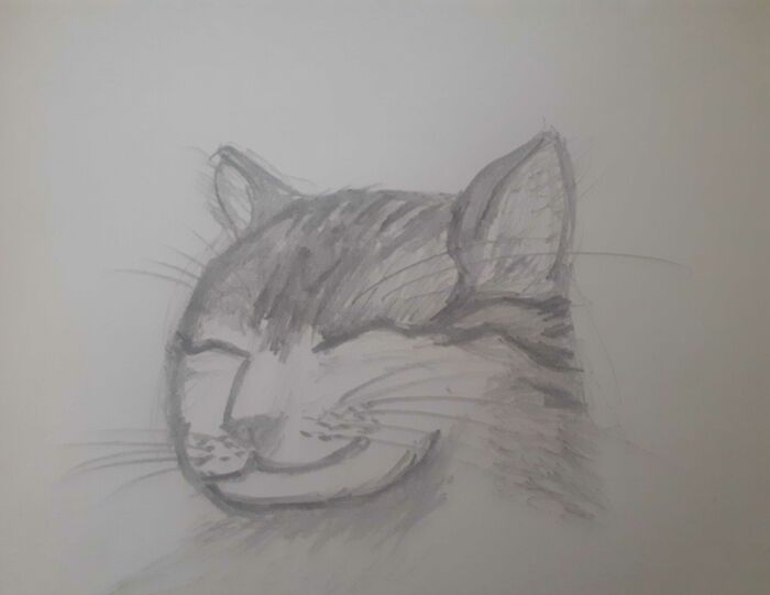 My Cat At Her Happiest And My First Actual Cat Drawing