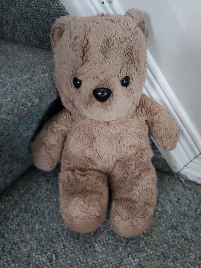 Meet Liz. She Is A 37 Year Old Gund Given To My Mother After Her Brain Surgery, Then Passed Down To Me When I Was 10