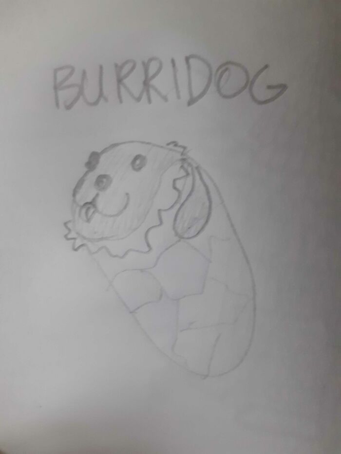 Burrito + Dog