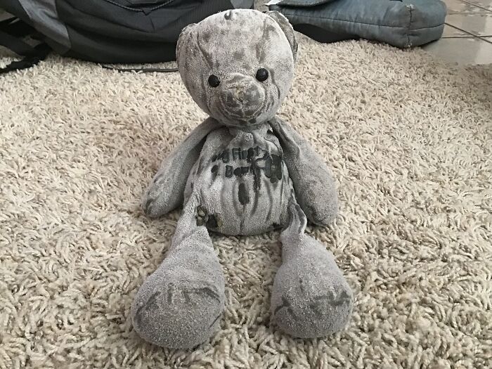 This Is “Bear”. I’ve Had Him Ever Since I Was 3 Weeks Old. We’re Still Friends. :d