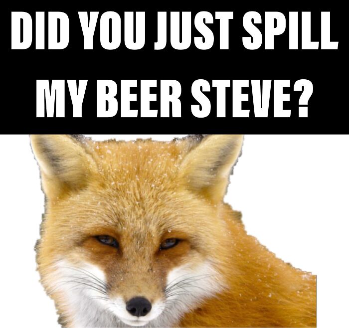 My Dads Name Is Steve And This Is A Meme I Made When He Spilled His Girlfriends Last Gluten Free Beer
