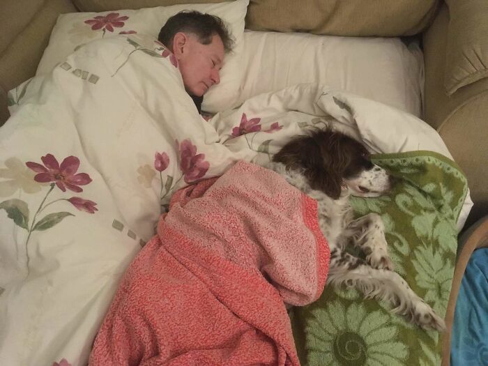 Adopted Dog Is Too Old And Sick To Sleep Upstairs, Family Takes Turns Sleeping With Him On the Couch Every Night