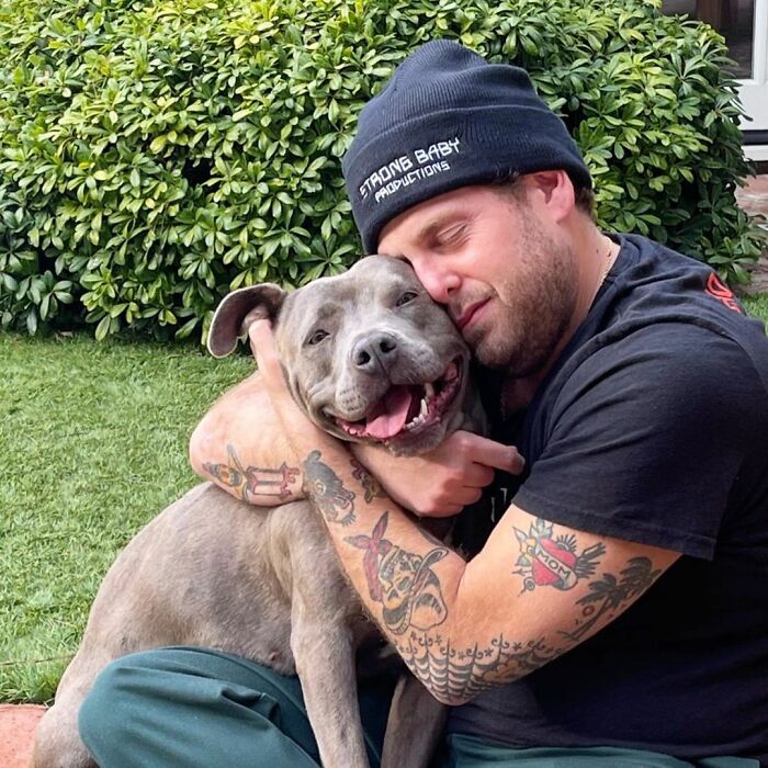 Actor Jonah Hill Expresses His Joy After Adopting A 3-Year-Old Doggy, Gets Praised by 336K People On Instagram