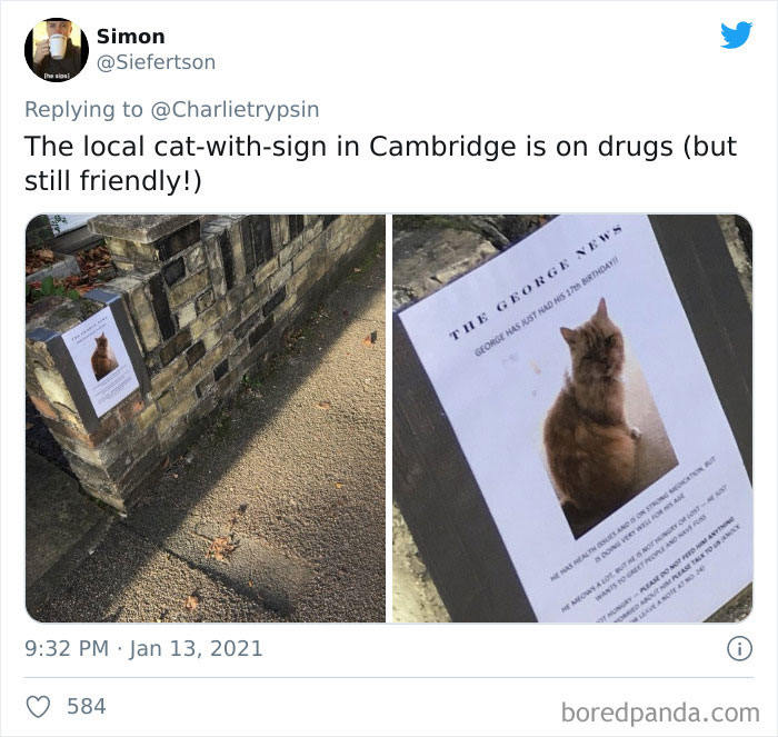 Funny-Cat-Notes-Warnings
