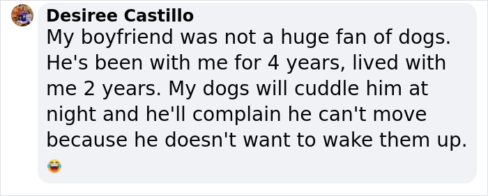 "I Don't Like Small Dogs" Guy Is Won Over By A Sneaky Chihuahua Which He Now Tucks In To Sleep Every Night