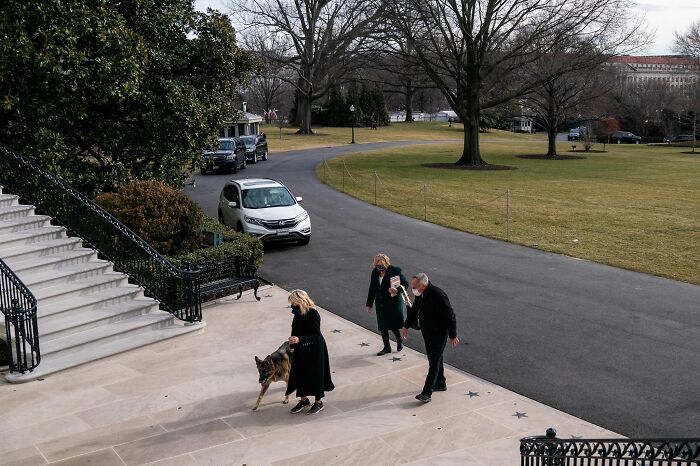 Los perros de Biden se han mudado a la Casa Blanca y las imágenes son sencillamente preciosas (11 imágenes)