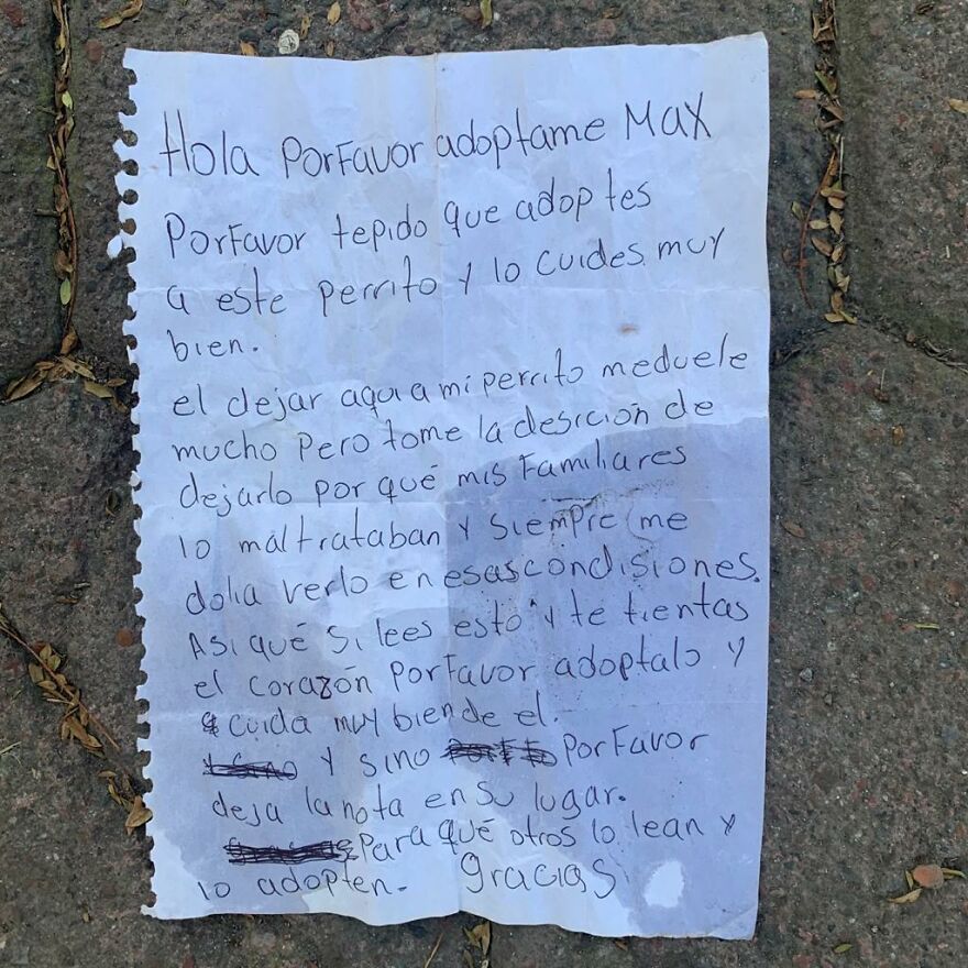 Child Leaves His Puppy On A Park Bench With A Heartbreaking Note Because His Parents Abused The Dog