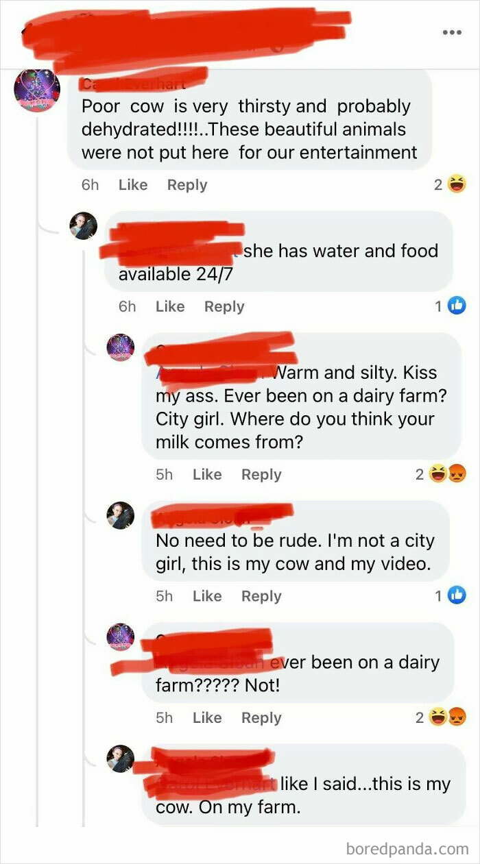 Ever Been On A Dairy Farm?