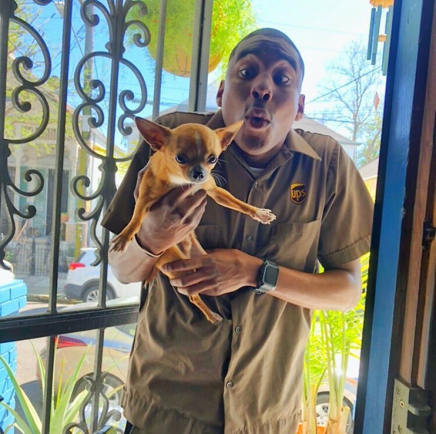 Delivery Man Continues To Take Breaks On The Way To Take Pictures And Pet The Dogs He Meets (New Pics)