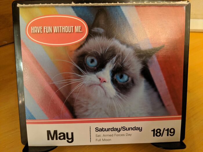 So My Grumpy Cat Calendar Knew What The Future Would Bring