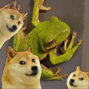 elliemorgan21012 avatar