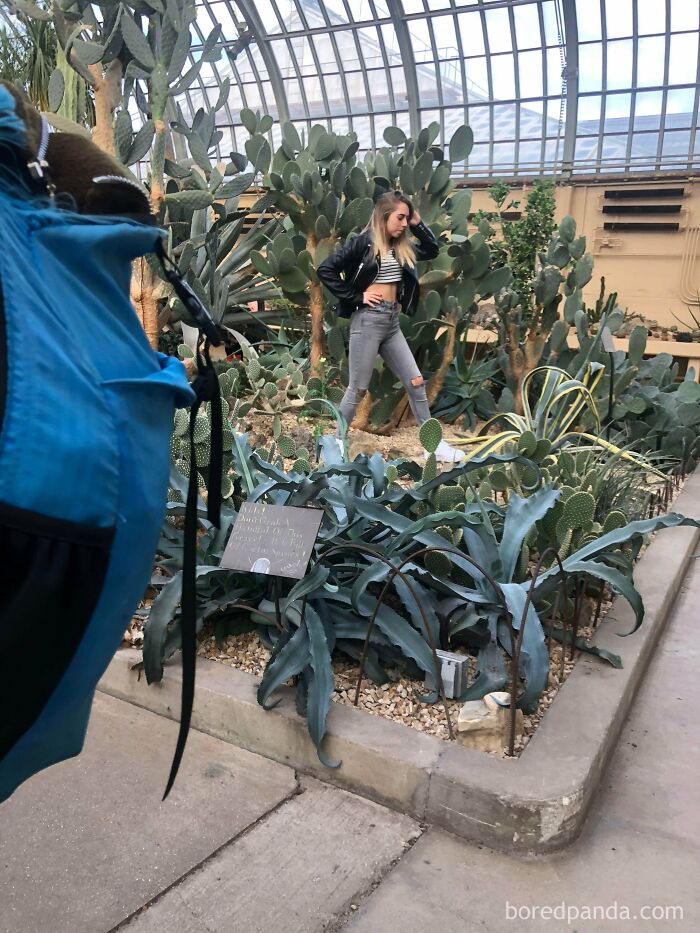 This Woman Stomped All Over The Plants In This Conservatory Despite Staff Repeatedly Asking Her To Stop To Get ‘Instagram Model’ Shots. The Area She Is In Is Off Limits