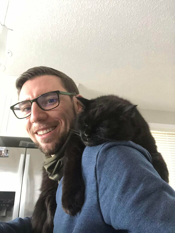Oh Hi There, I Was Told That Shoulder Cats Are Trending Today