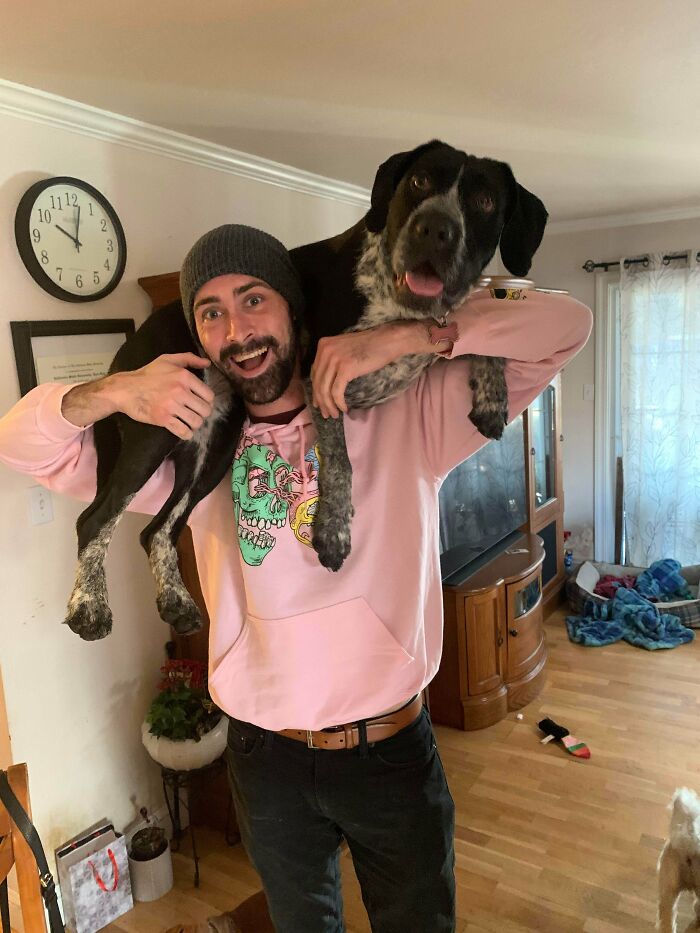 Big Dogs Can Be Shoulder Dogs Too. Meet Ruka