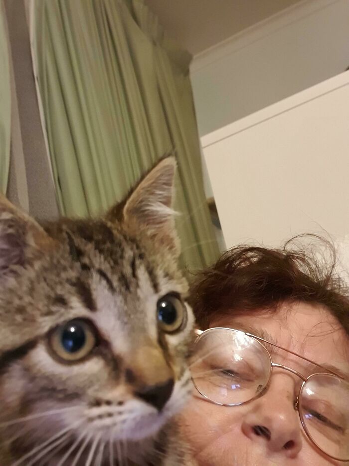 I Too Have A Shoulder Kitten. We're Not Very Good At Selfies Yet