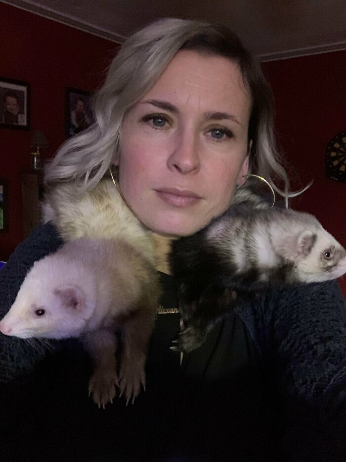 I See Your Shoulder Cat Photos. Do A Couple Of Shoulder Ferrets Count?