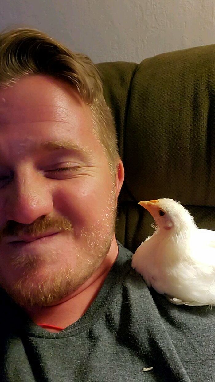 I See Your Shoulder Cat And Raise You A Shoulder Chick. Sound On To Hear Her Happy Cooing