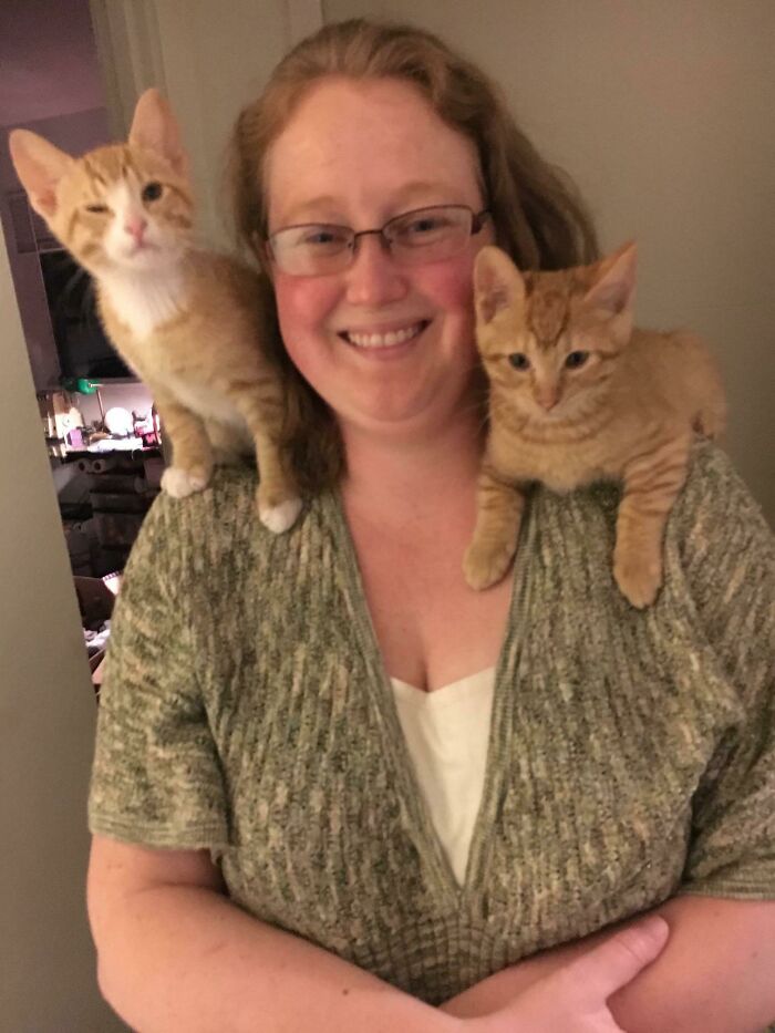 I Call Your Shoulder Cat And Raise You Two Shoulder Tiggers