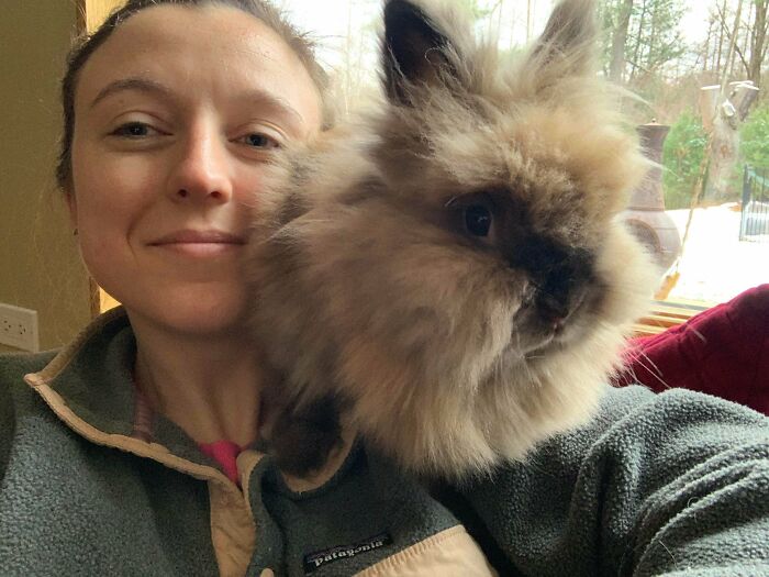 I Take Your Shoulder Cats And Raise You A Shoulder Bunny