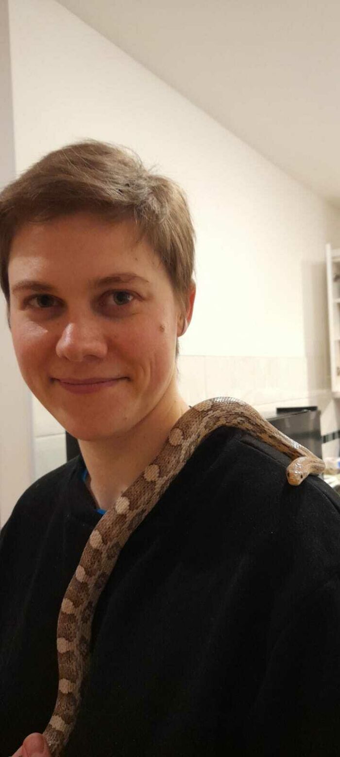 I Don't Have A Cat But This Might Work. Shoulder... Snek