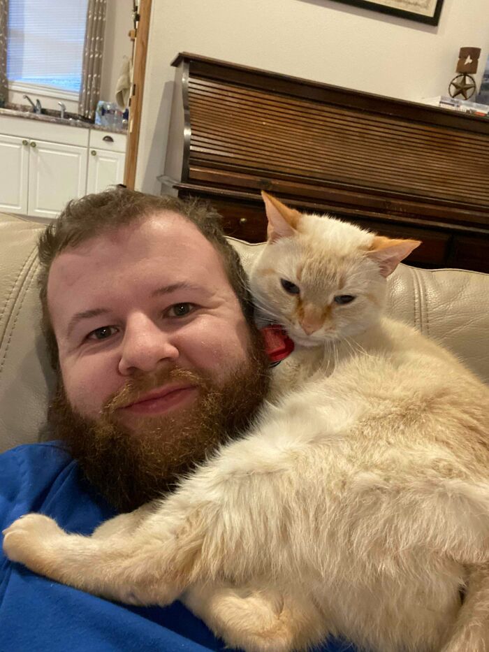 Here’s My Shoulder Cat. I Hope I’m Not Too Late