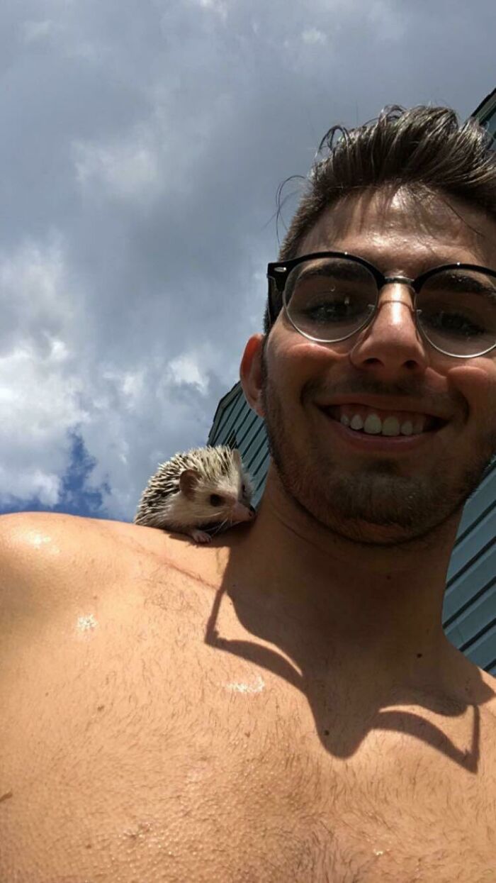 Does A Shoulder Hedgehog Count?