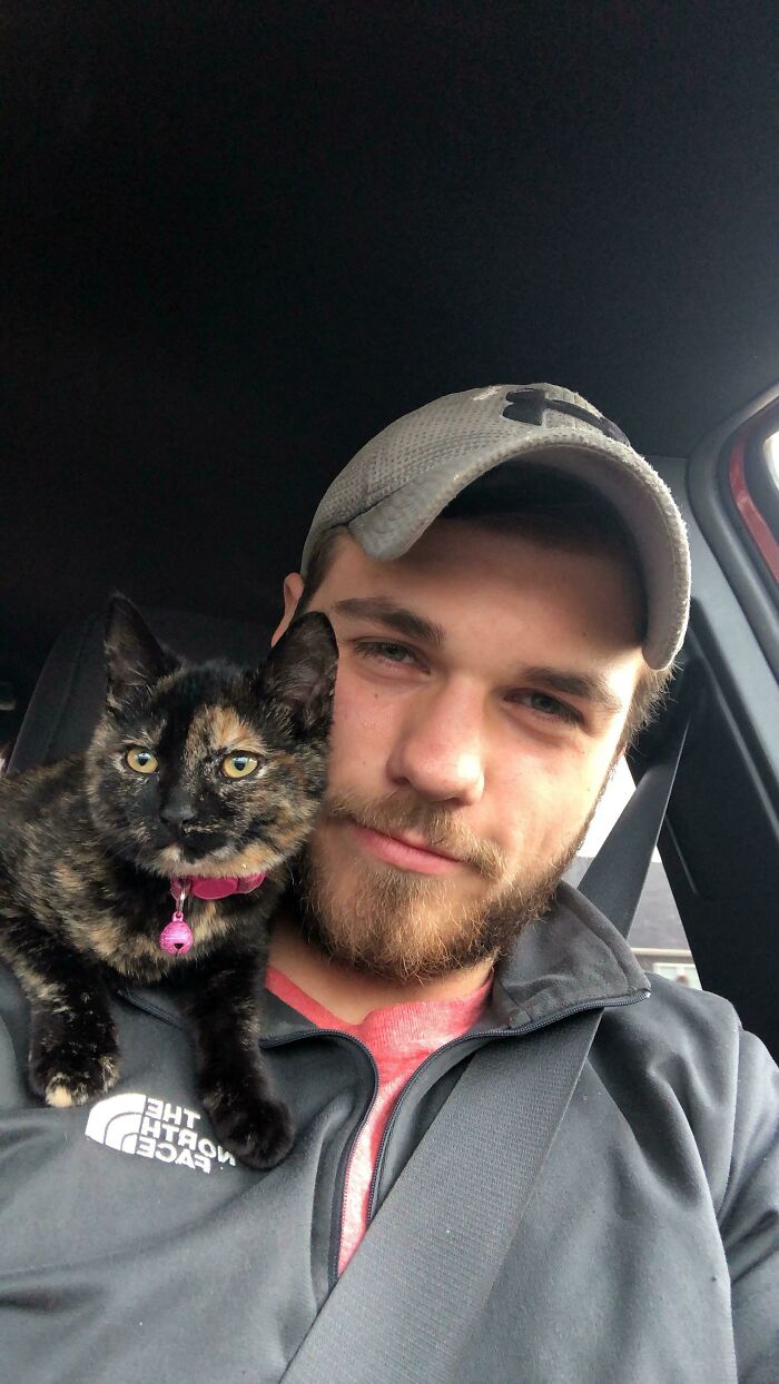 This Is My Rescue, Charlie, And She Loves Trips On My Shoulder... Mr. Mom To A Cat That Thinks It’s A Parrot