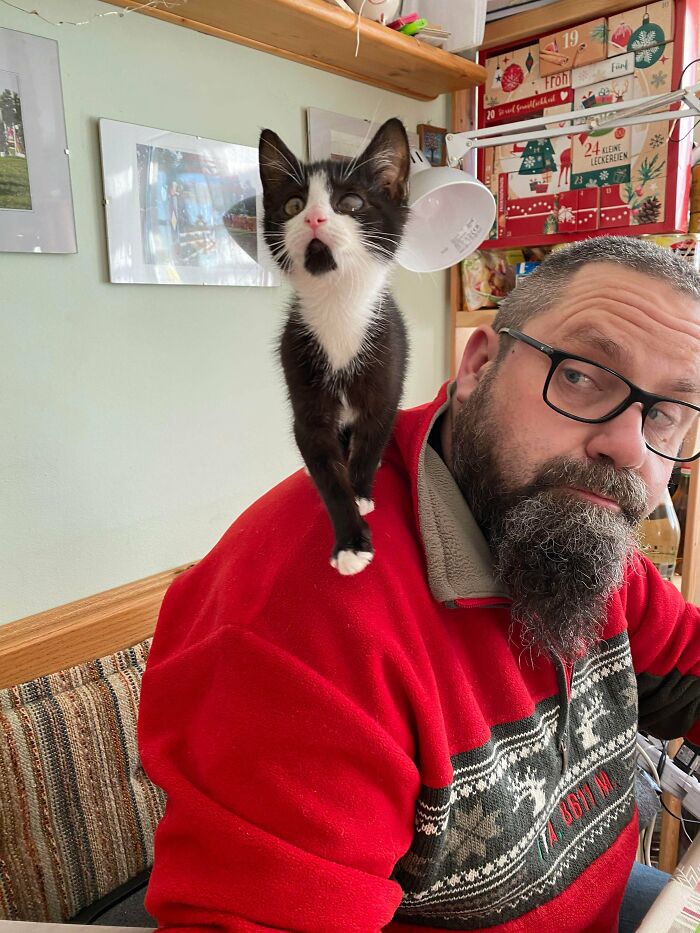 I’ve Heard We Do Shoulder Cats... Meet Crosseyed Shoulder Cat And My Dad