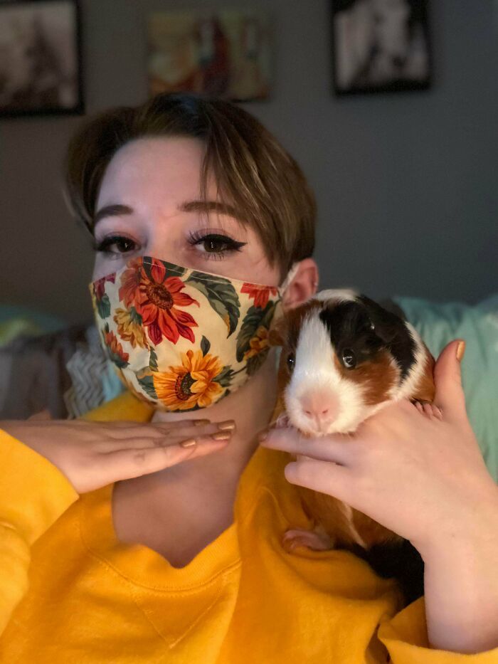 I Offer You A Shoulder Guinea Pig In This Trying Time