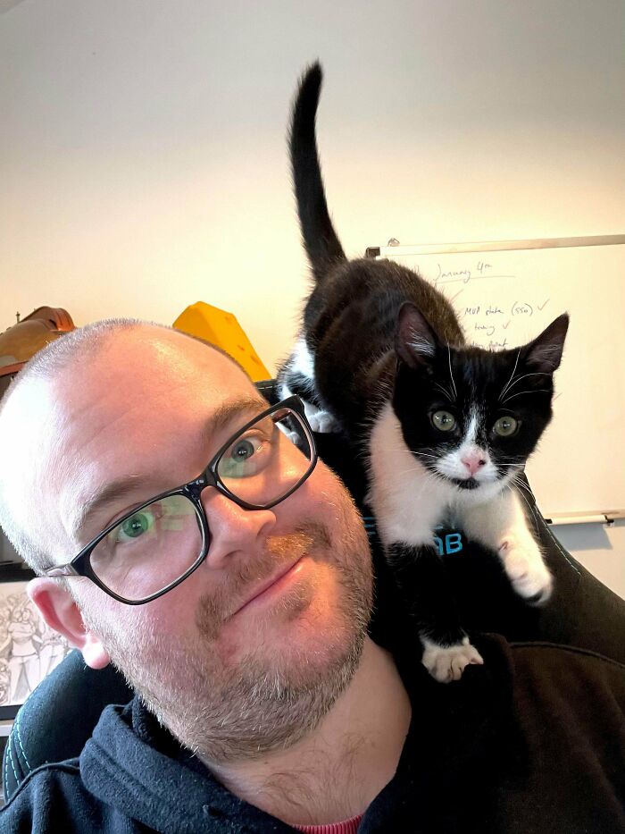 Shoulder Cat! (Sorry About The Human)