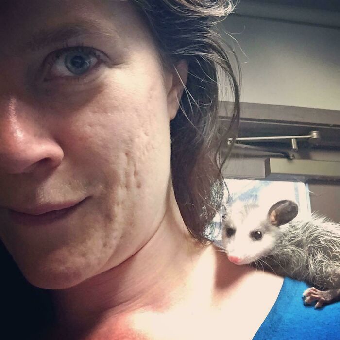 I, Too, Would Like To Share A Possum-On-My-Shoulder Pic
