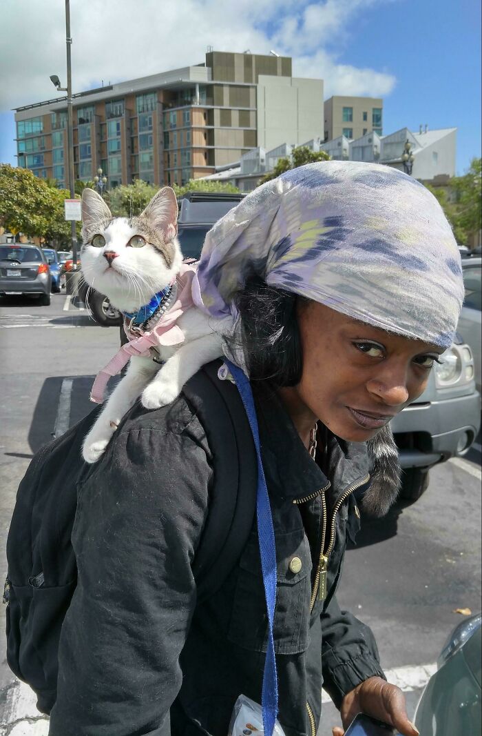 This Lady In My Neighborhood That Walks Around With Her Cat On Her Shoulder