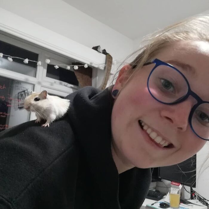 I See Your Shoulder Cats And Raise You A Shoulder Gerbil
