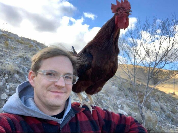 I See Your Shoulder Cat And Raise You A Shoulder Rooster