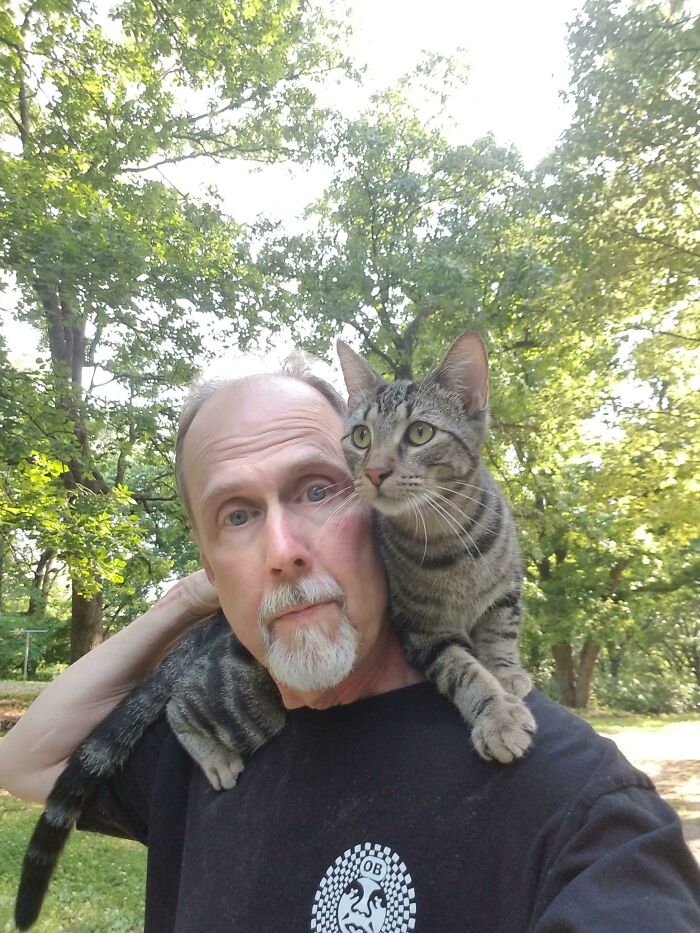 This Is "Nermal" The Foster Cat That Adopted Me And Rides On My Shoulder