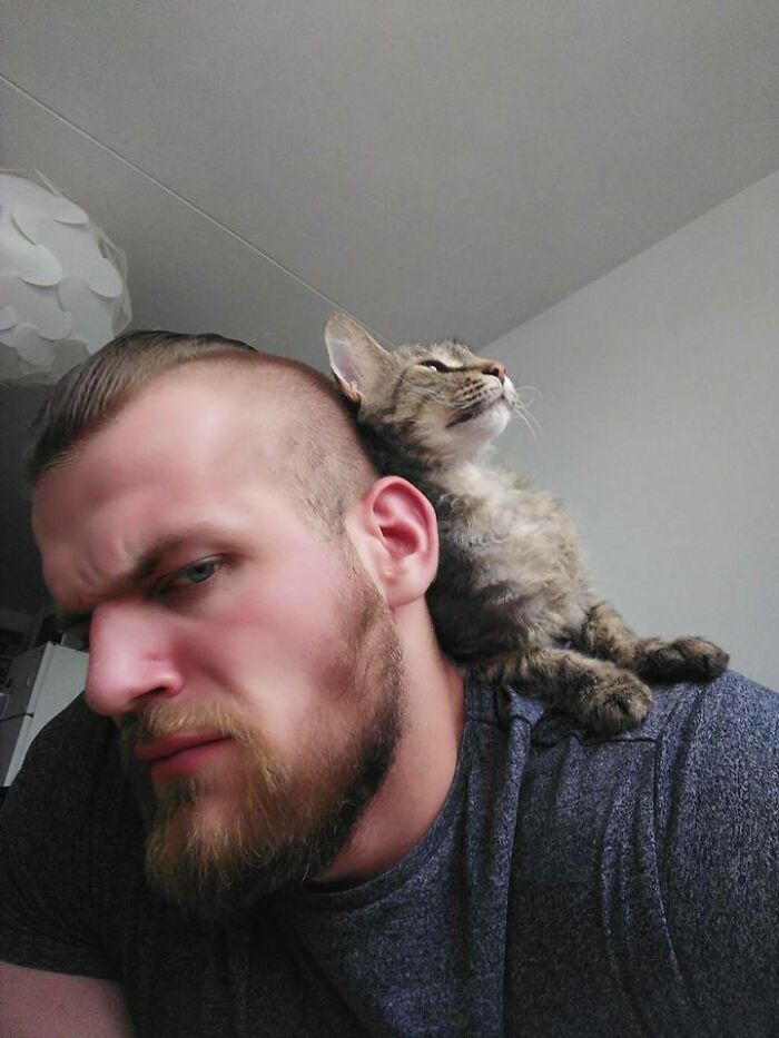 Meet Thunder, The Cat I Took From The Streets A Few Days Ago. He Wouldn't Even Let Me Touch Him Back Then, But Today His Favourite Place To Chill Is My Shoulder