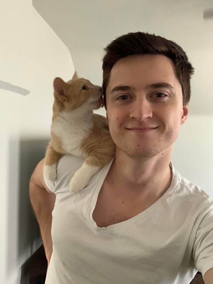 Training My New Kitty To Be A Shoulder Cat! 5 Months Old