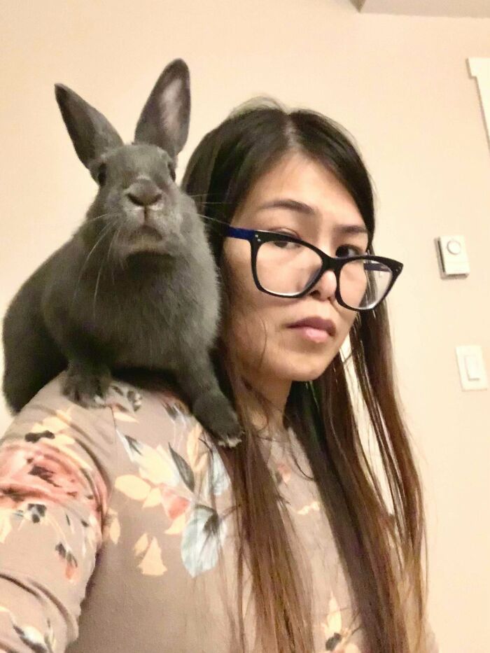 I See Your Shoulder Cats And Raise You A Shoulder Bunny. Crash Landed There And Knocked My Glasses Off After Scrambling With His Gremlin Claws Up My Back